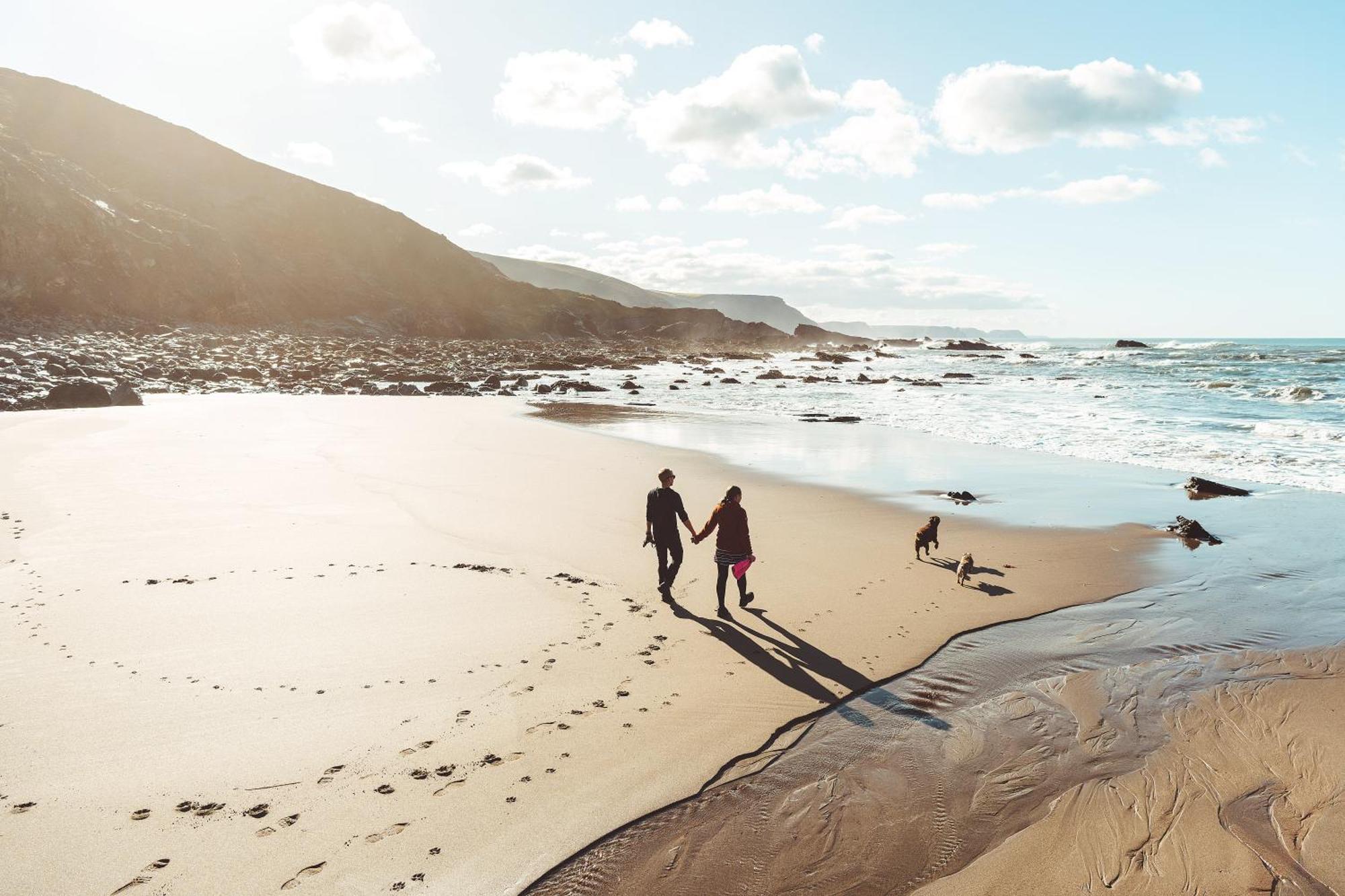 בית הארחה Crackington Haven 	Trevigue Farm מראה חיצוני תמונה